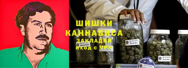 гидра Абаза